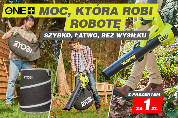 PORZĄDEK POD KONTROLĄ
