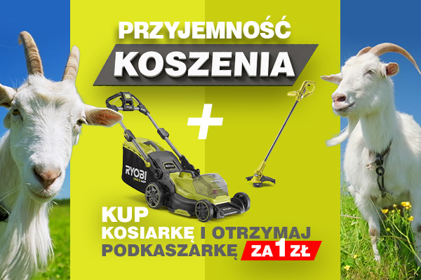 RYOBI mower play