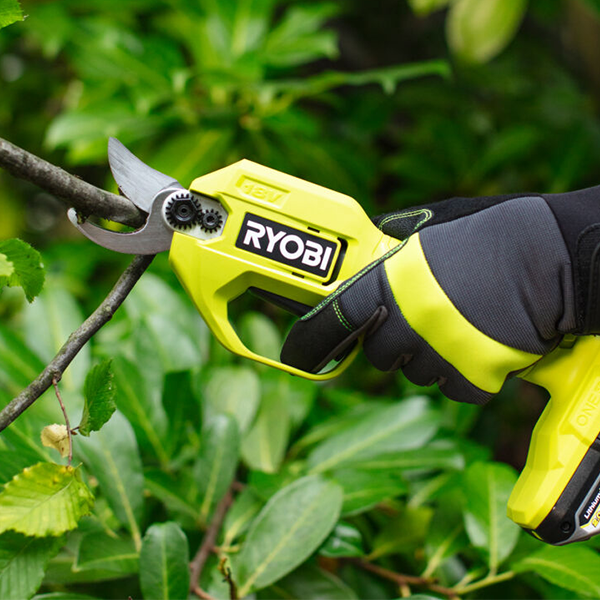 Secateurs cutting small branch
