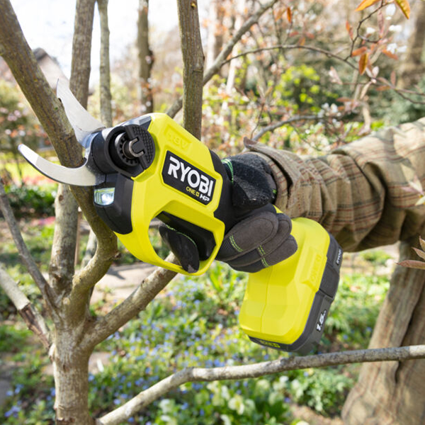 Secateurs cutting branch